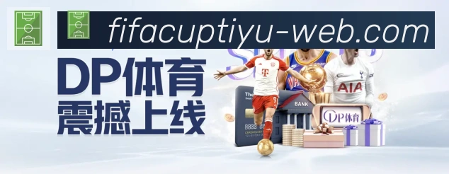 未来规划